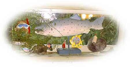 Bathroom Salmon