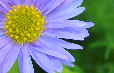 Big Blue