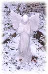 Angel in Snow
