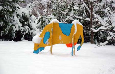 Snowy Cow