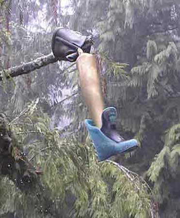 Even Trees Need Artificial Limbs