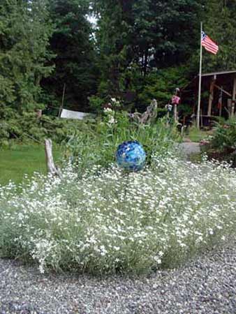 Bowling Ball Flowers