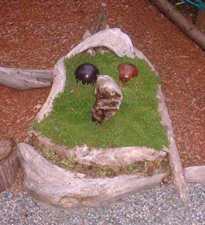 Old Man Driftwood