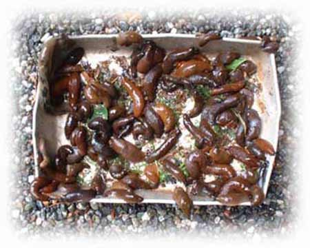 Pan 'O Slugs